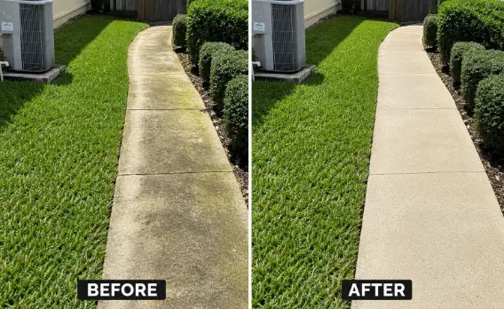Before and after soft wash results on a Jacksonville homeβs siding